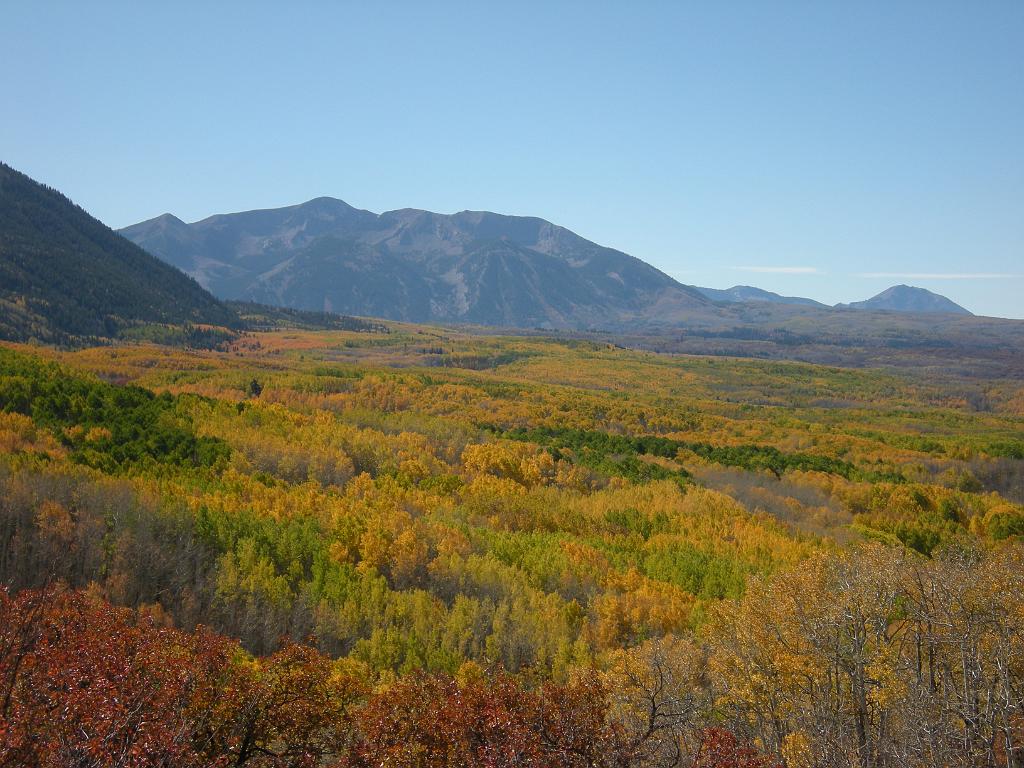 fall09 095